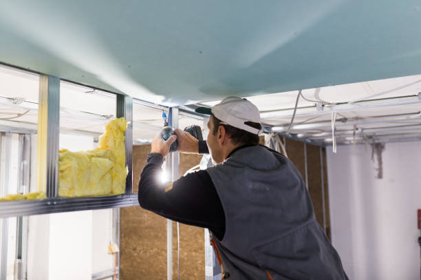 Types of Insulation We Offer in Eugene, OR
